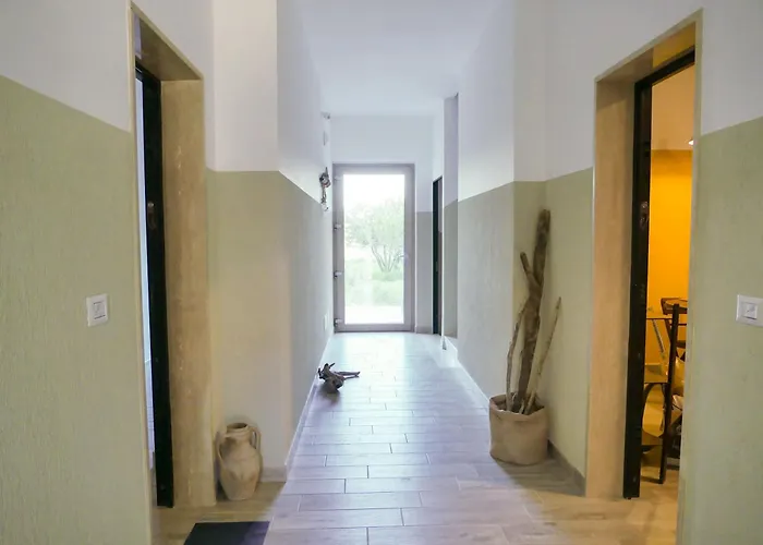 Apartment Violahouse